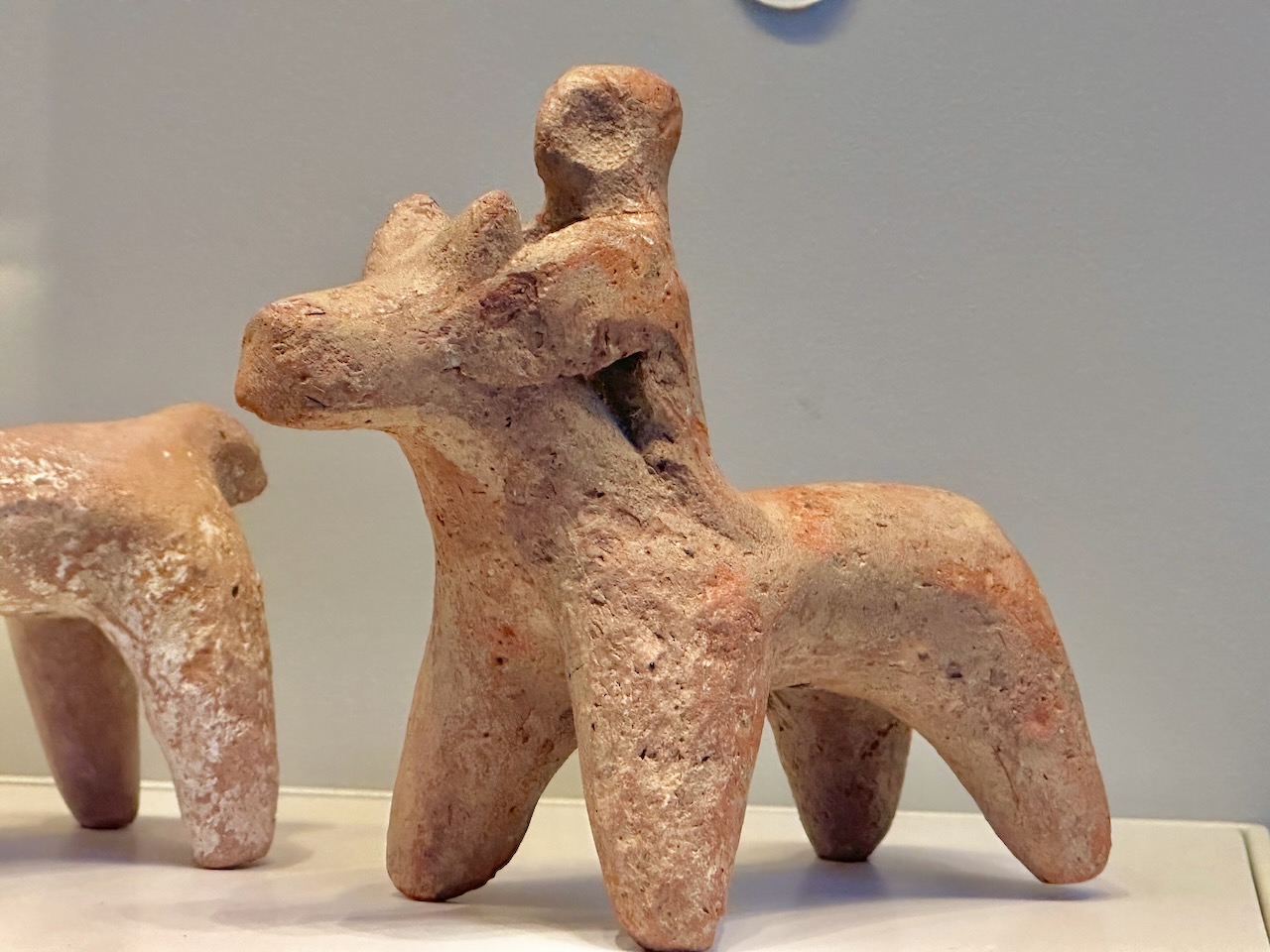 Horse and Rider Sept 2025 Israel Tour John DeLancey