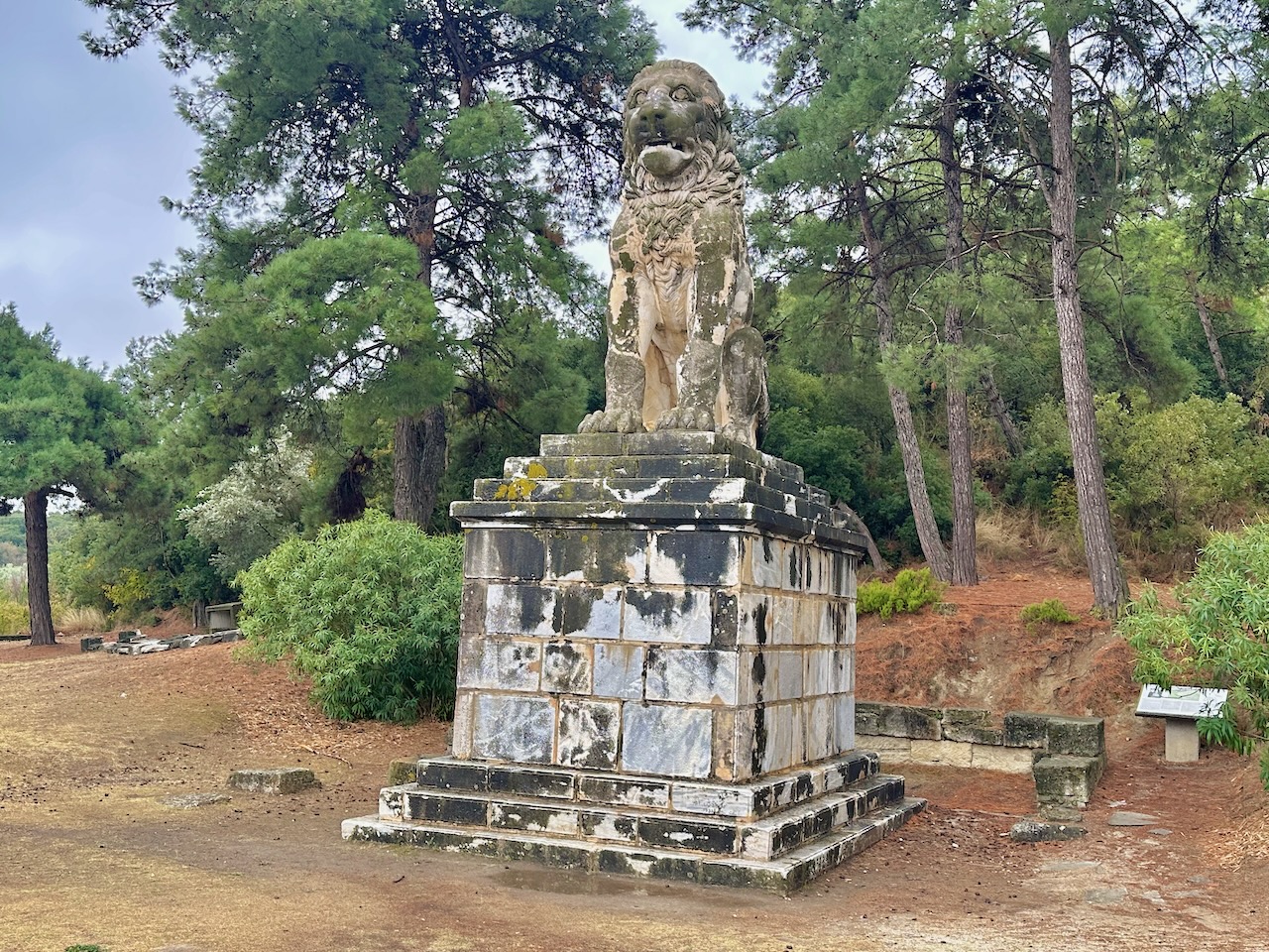 Amphibolis Lion Greece Trip Oct 2025 John DeLancey
