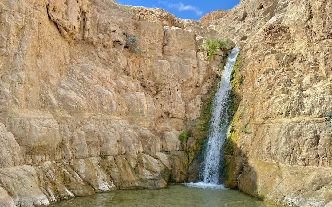 Ein Gedi Nov 2025 Egypt-Jordan-Israel Tour John DeLancey