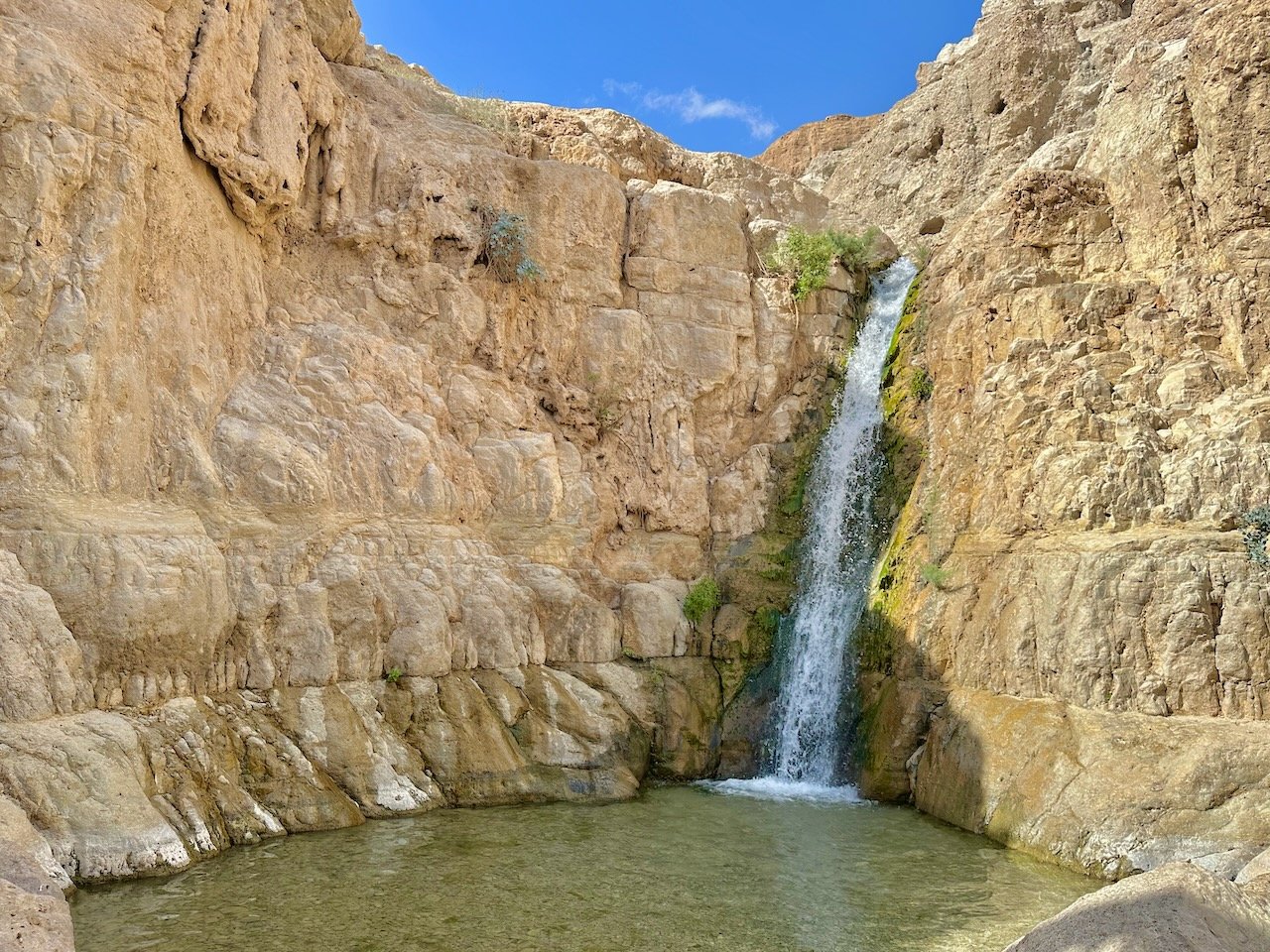 Ein Gedi Nov 2025 Egypt-Jordan-Israel Tour John DeLancey