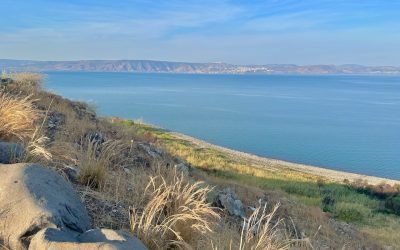 November 2025 Egypt-Jordan-Israel Tour – Summary of Day 11