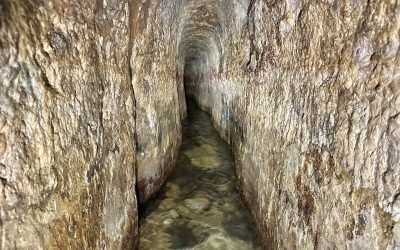 November 2025 Egypt-Jordan-Israel Tour – Summary of Day 15