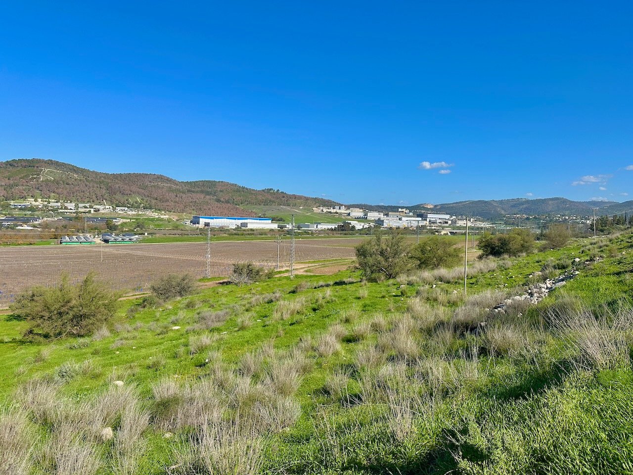 Beth Shemesh Sorek Valley January 2026 Israel Tour John DeLancey