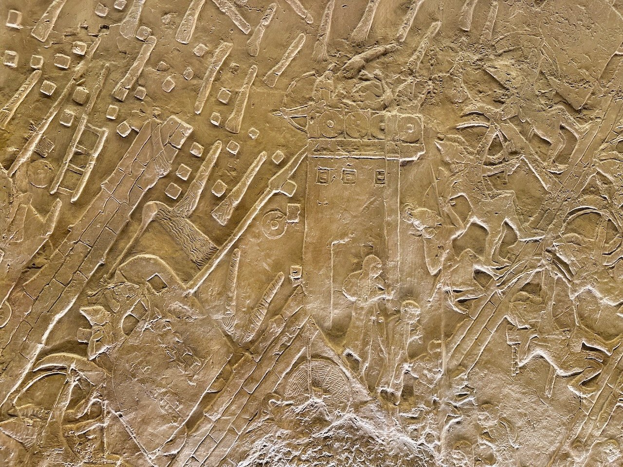 Lachish January 2026 Israel Tour John DeLancey