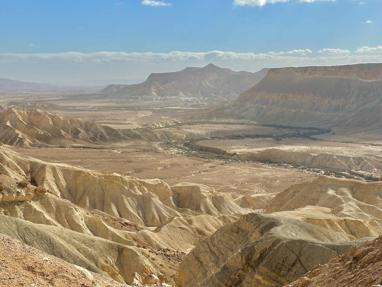 Zin Desert January 2026 Israel Tour John DeLancey