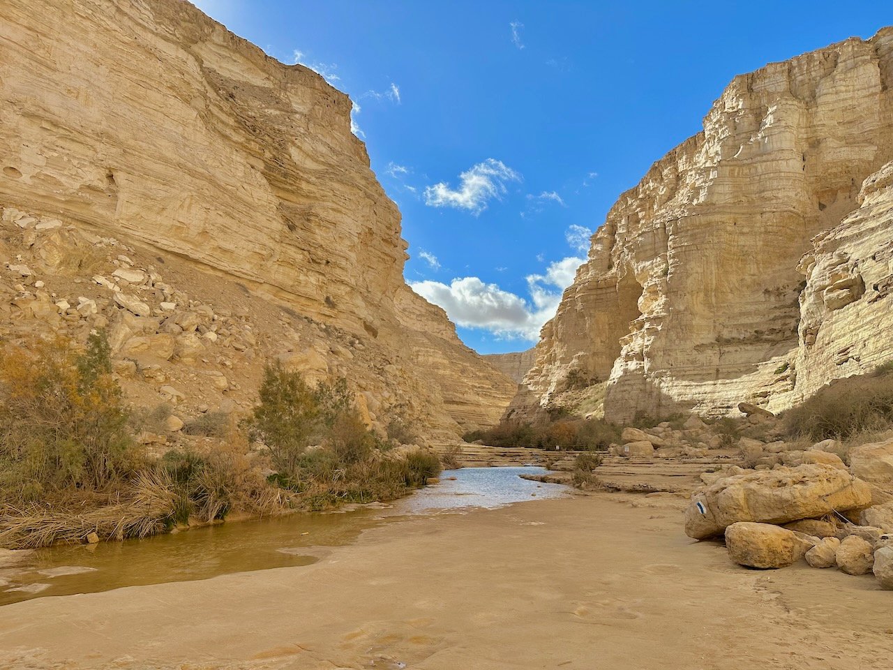 Zin Desert January 2026 Israel Tour John DeLancey