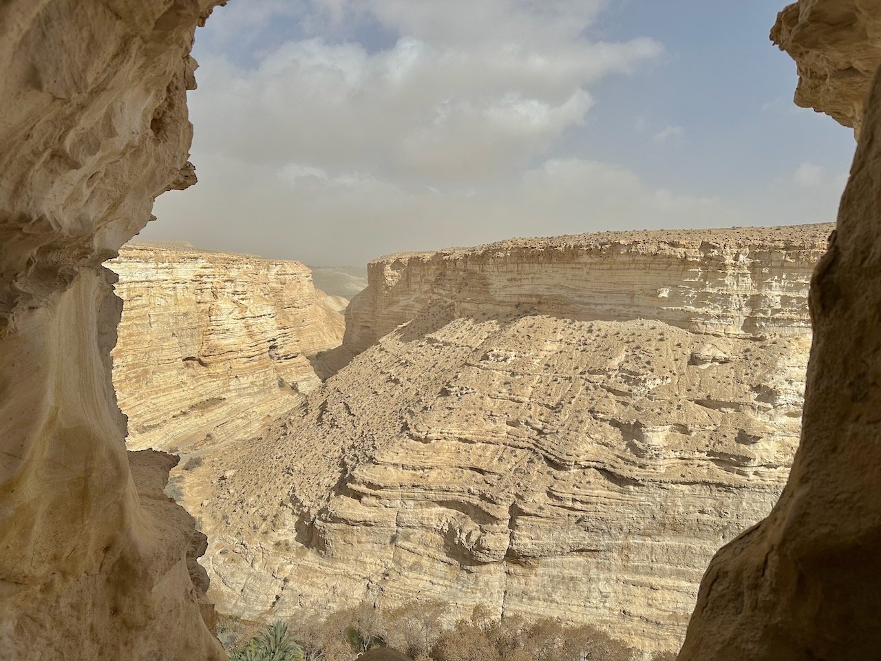 Zin Desert January 2026 Israel Tour John DeLancey
