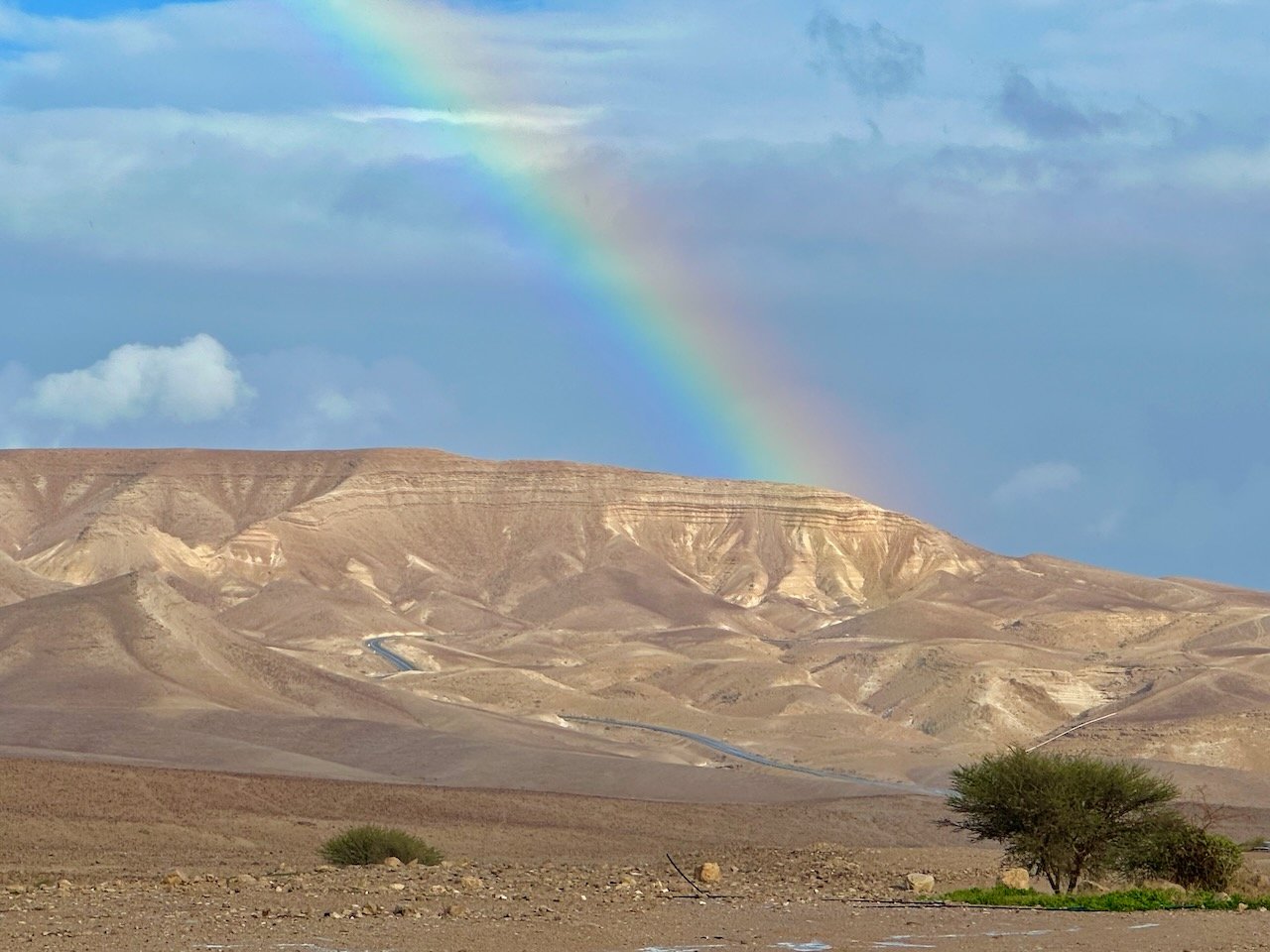 Hanokdim rainbow January 2026 Israel Tour John DeLancey
