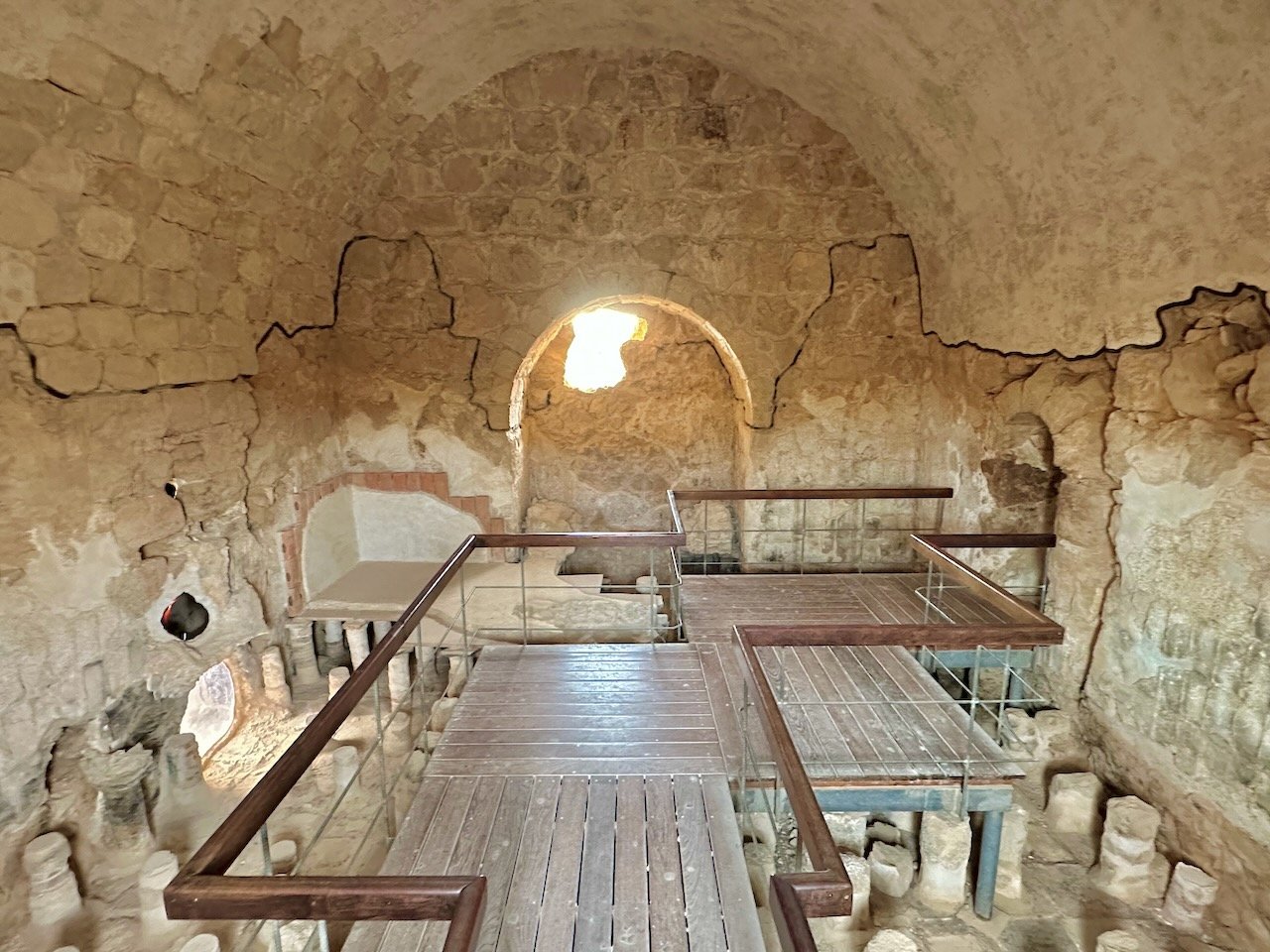 Masada January 2026 Israel Tour John DeLancey