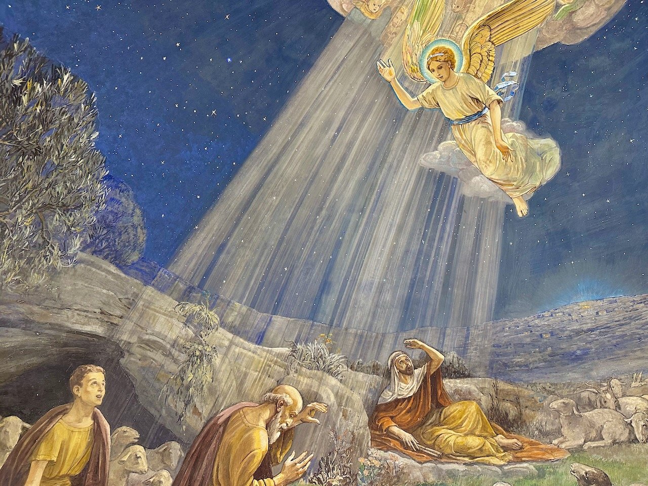 Shepherds' Fields January 2026 Israel Tour John DeLancey