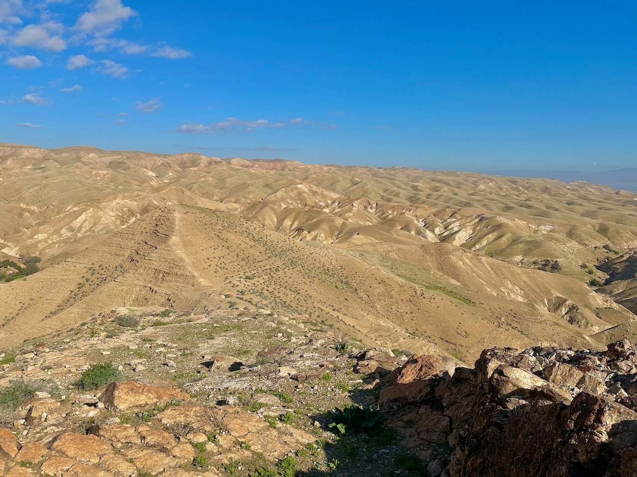 Judean Desert Wadi Qelt January 2026 Israel Tour John DeLancey