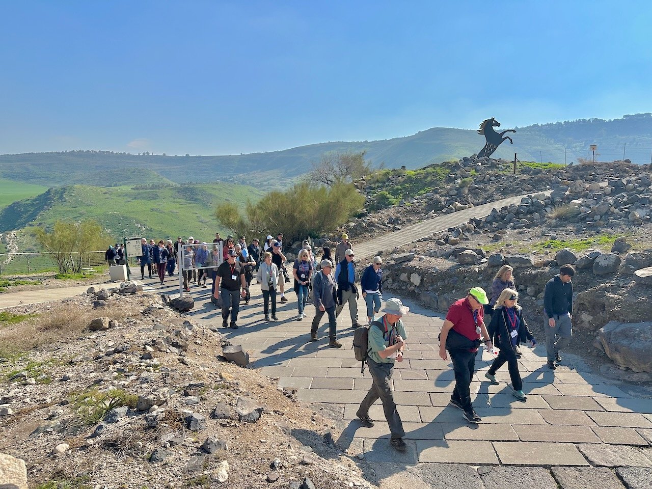 Hippos January 2026 Israel Tour John DeLancey