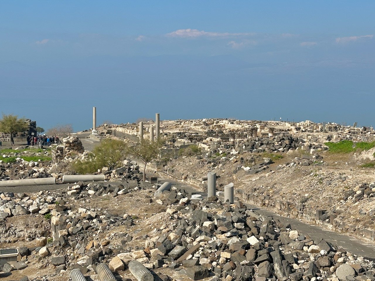 Hippos January 2026 Israel Tour John DeLancey