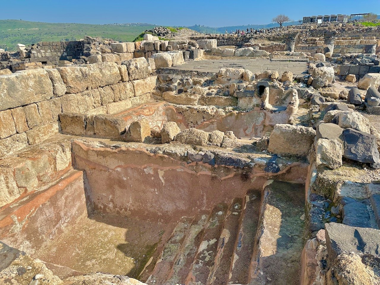 Hippos January 2026 Israel Tour John DeLancey