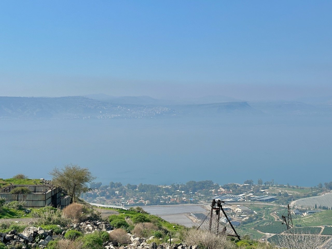 Hippos Sea of Galilee January 2026 Israel Tour John DeLancey