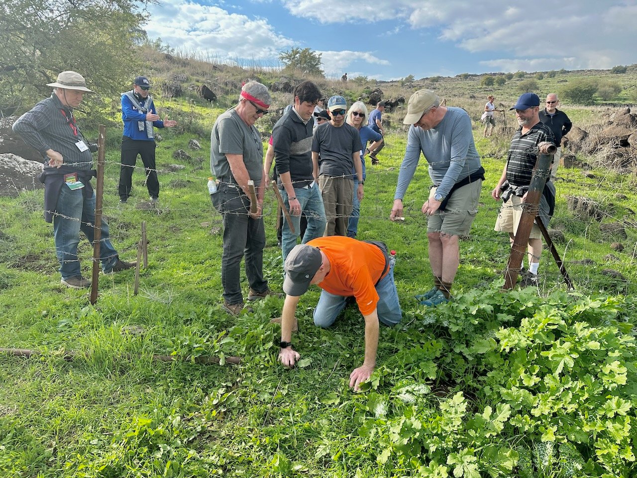 Chorazin - Capernaum Trail January 2026 Israel Tour John DeLancey