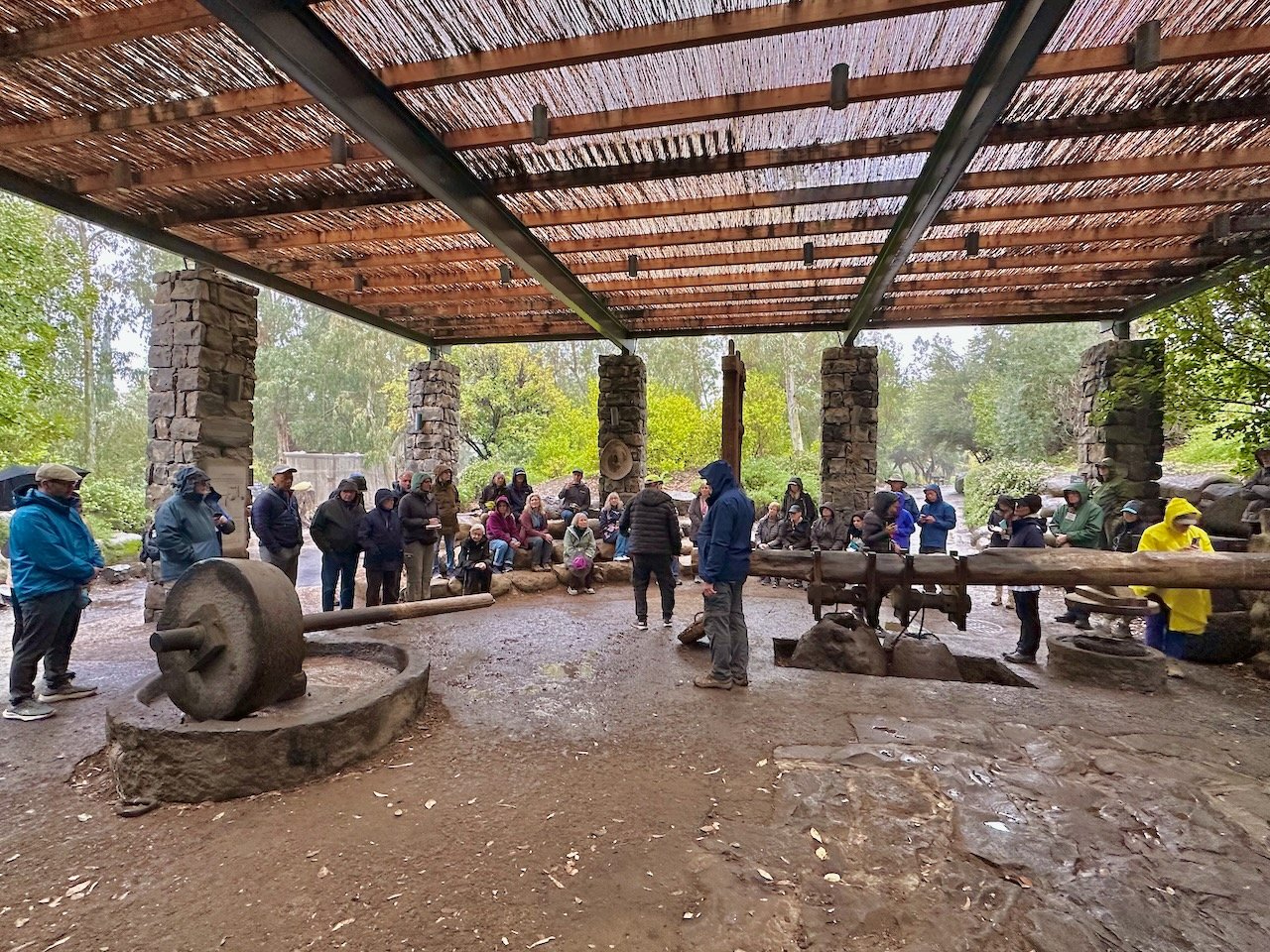 Katzrin January 2026 Israel Tour John DeLancey