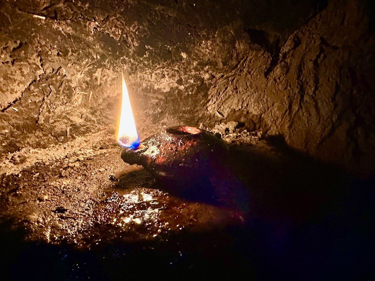 Katzrin January 2026 Israel Tour John DeLancey