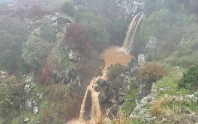 January 2026 14 Day Israel Tour – Summary of Day 9