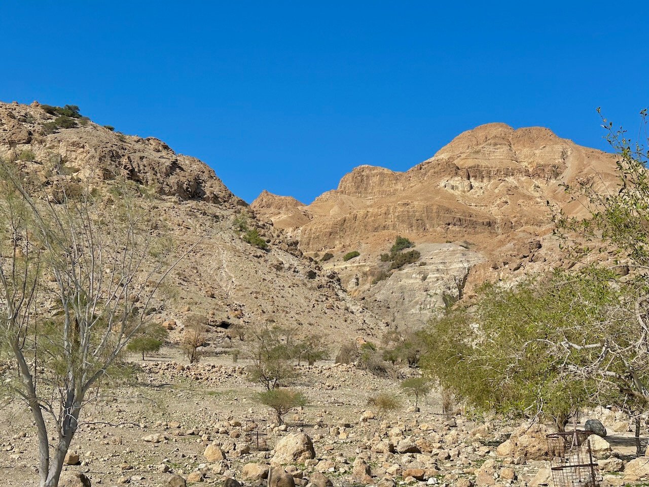 Ein Gedi January 2026 Israel Tour John DeLancey Ein Gedi January 2026 Israel Tour John DeLancey