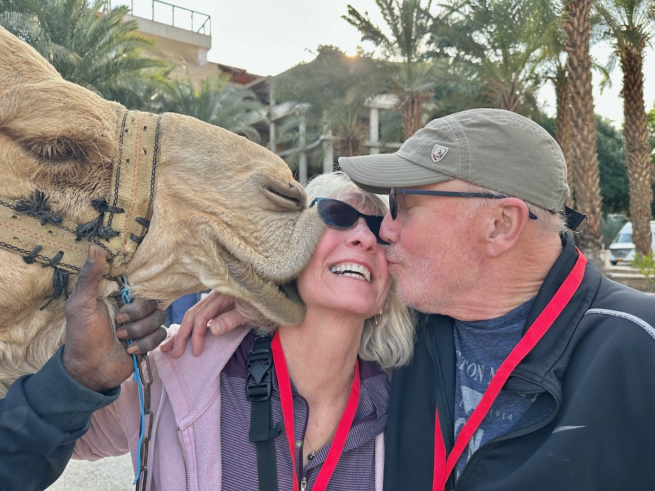 Jericho Camels January 2026 Israel Tour John DeLancey Jericho Camels January 2026 Israel Tour John DeLancey