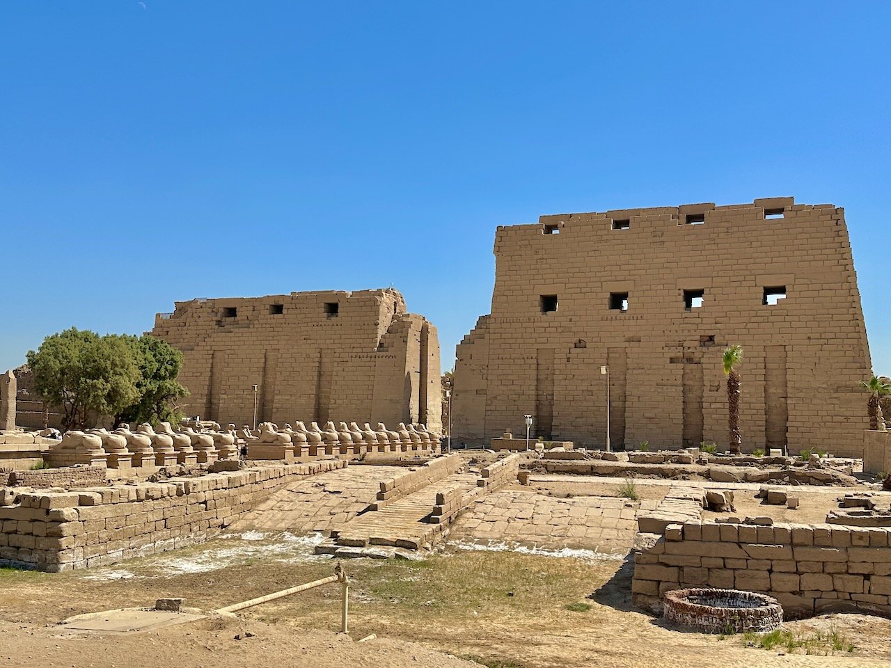 Luxor Karnak Temple Egypt Feb 2026 Egypt Tour John DeLancey Luxor Karnak Temple Egypt Feb 2026 Egypt Tour John DeLancey