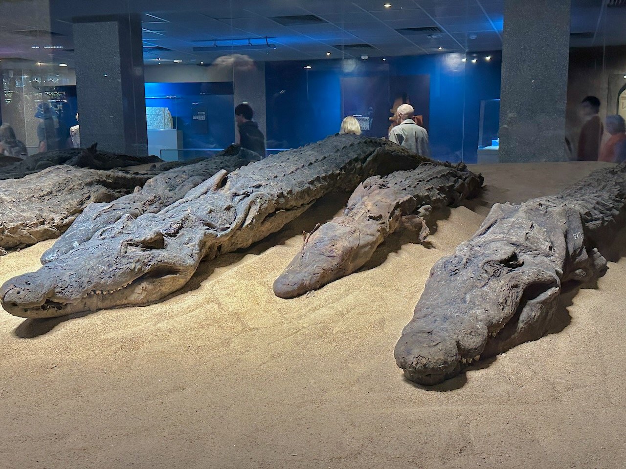 Kom Ombo Temple Feb 2026 Egypt Tour John DeLancey