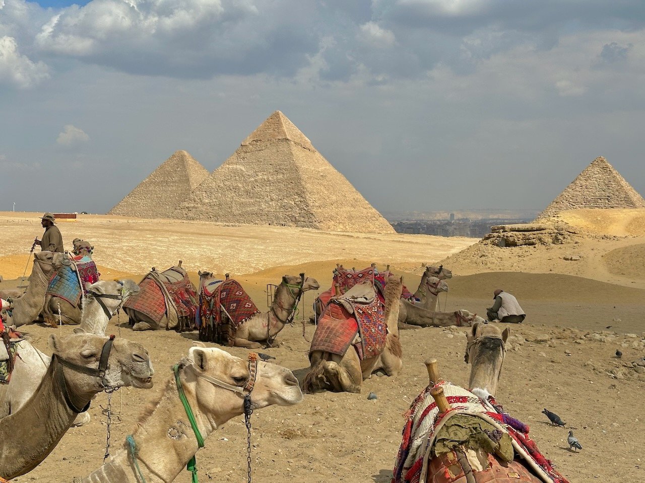 Great Pyramid Feb 2026 Egypt Tour John DeLancey