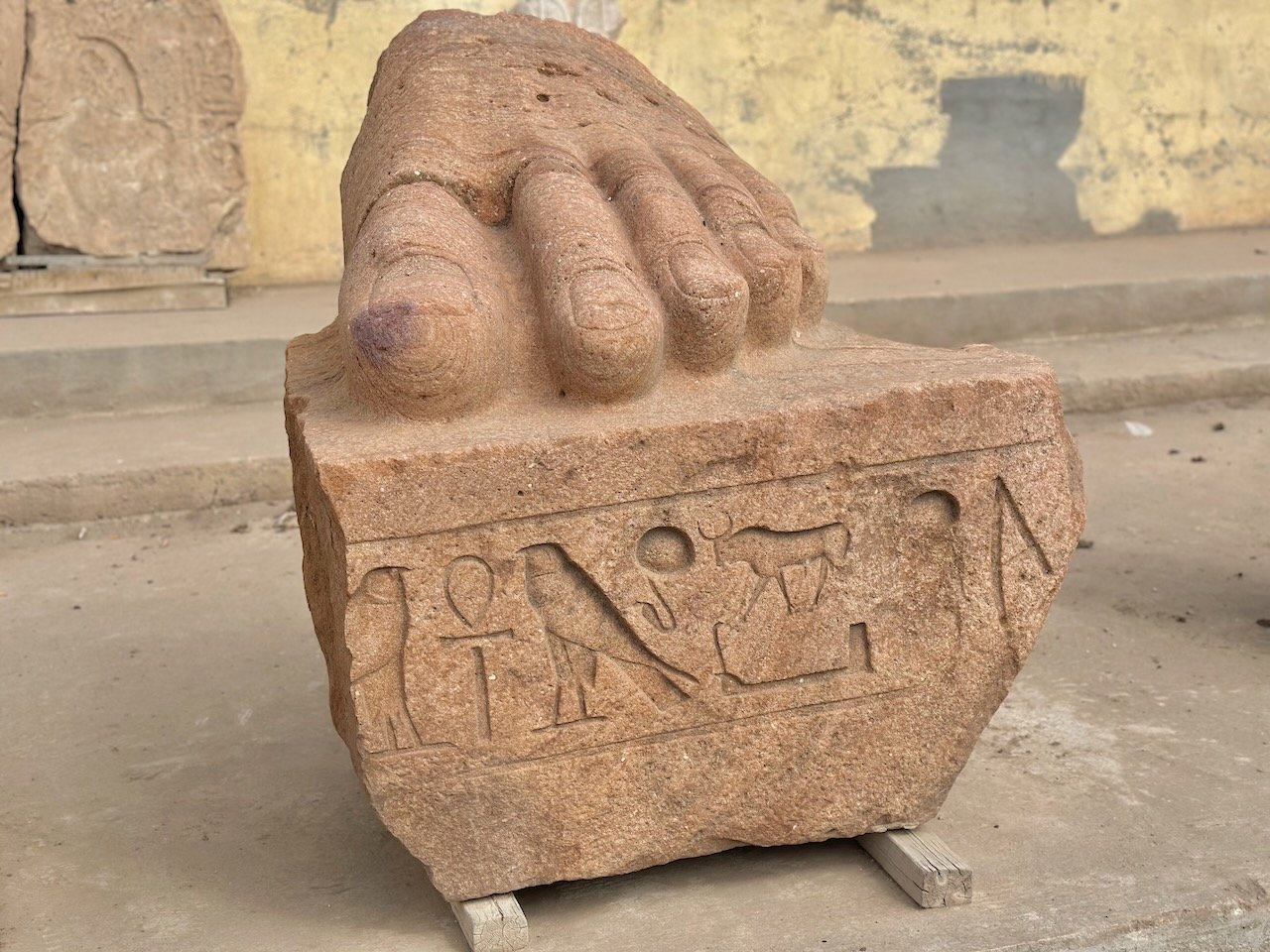 Tanis Delta Land of Goshen Feb 2026 Egypt Tour John DeLancey