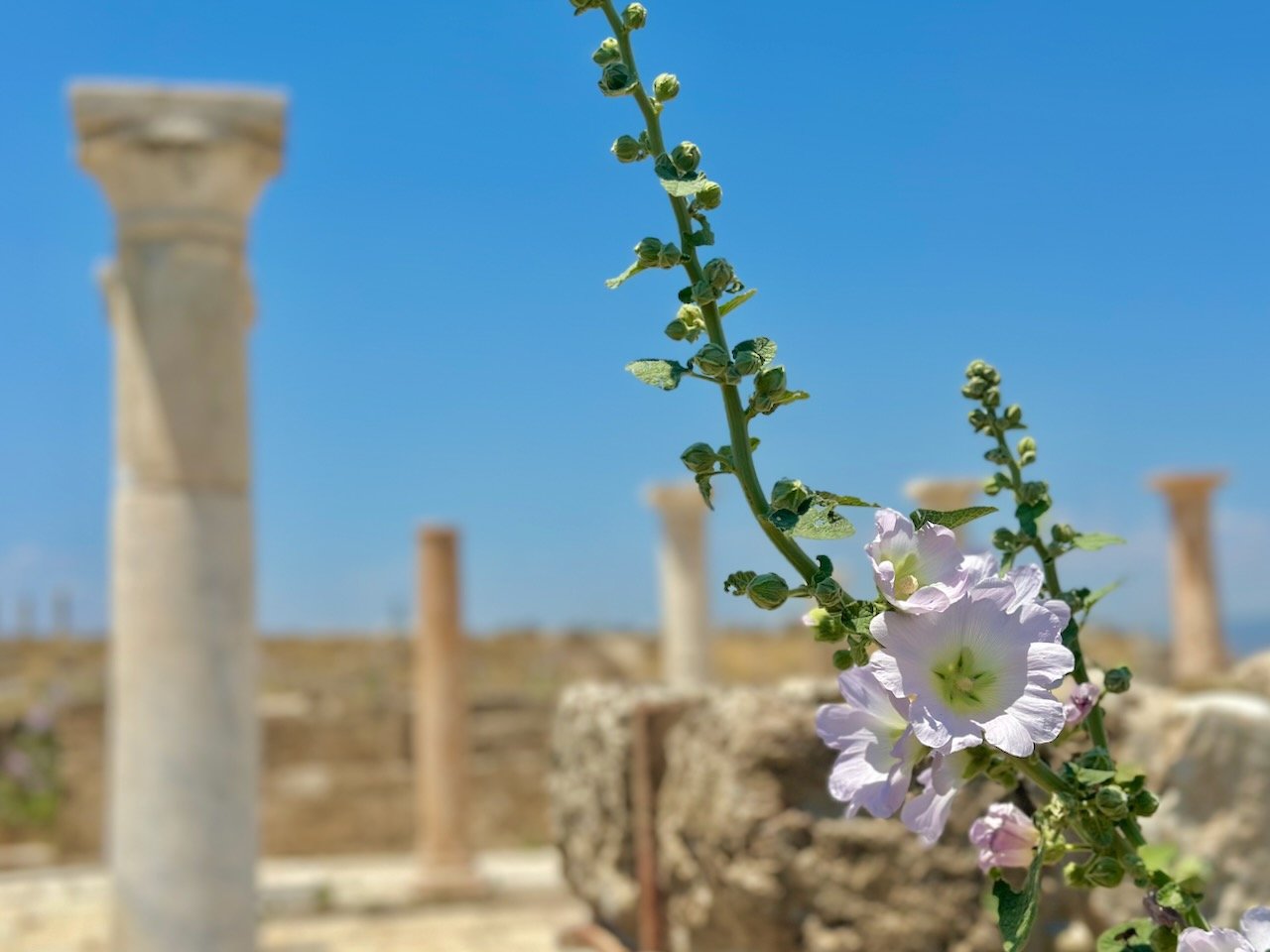 Laodicea June 2026 Turkey Tour John DeLancey