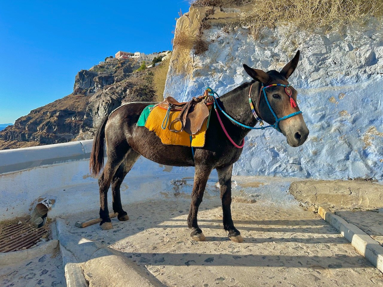 Santorini Sept 2026 Greece Trip with John DeLancey