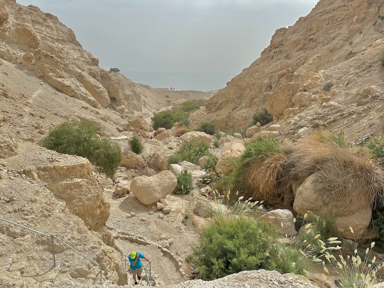 Ein Gedi Oct 2026 Israel Tour with Greece, with John DeLancey