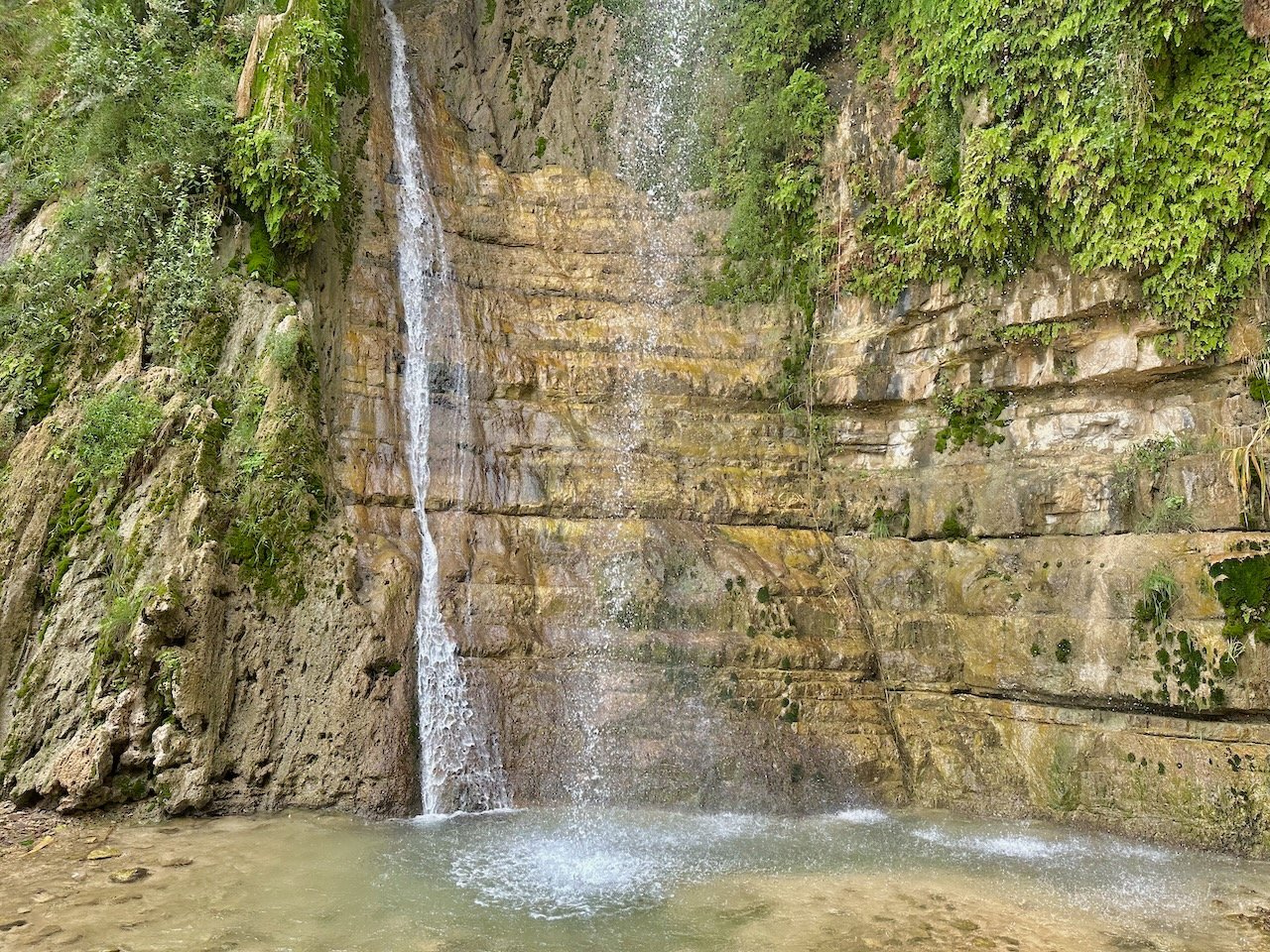 Ein Gedi Oct 2026 Israel Tour with Greece, with John DeLancey
