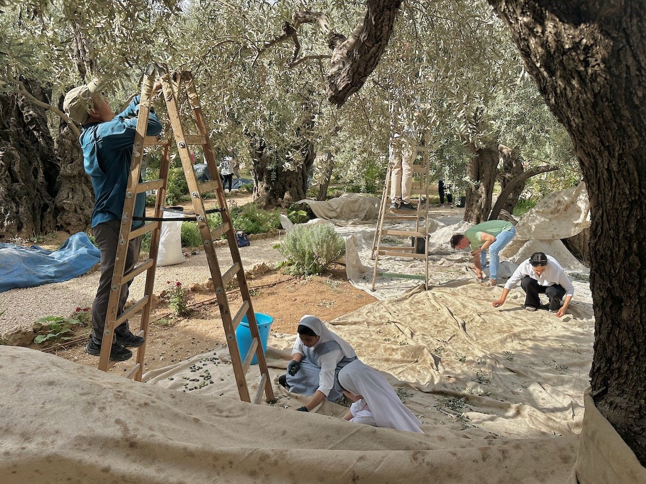 Jerusalem Mt. of Olives Gethsemane Oct 2026 Israel Tour with Greece, with John DeLancey